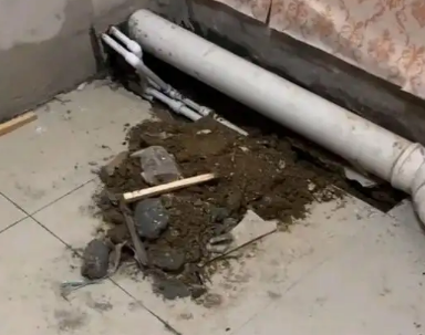 乐亭卫生间漏水检测哪家好