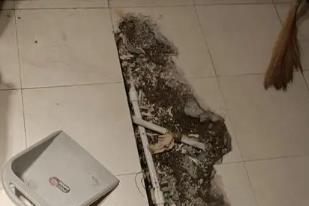 乐亭卫生间漏水检测电话
